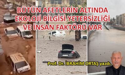 Ekoloji bilgisi yetersizliği ve insan faktörü