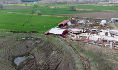 Depremin tarım sektöründe yarattığı zarar 24,2 milyar lira