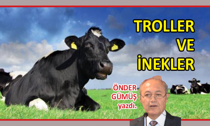 Troller ve İnekler