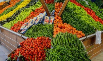 Rusya’ya yaş meyve ve sebze ihracatı arttı