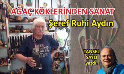 Ağaç köklerinden sanat: Şeref Ruhi Aydın