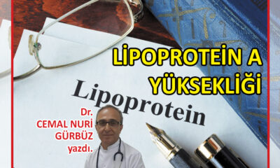 Lipoprotein A Yüksekliği
