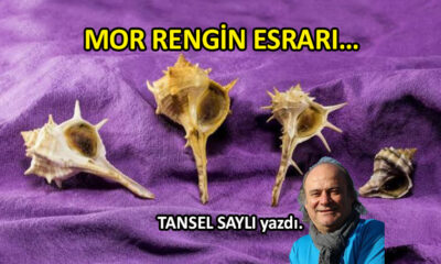 Mor Rengin Esrarı…