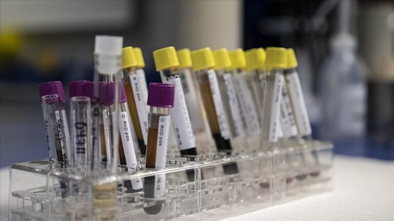 Dünyada 320 milyon kişi hepatit B ve C hastası…