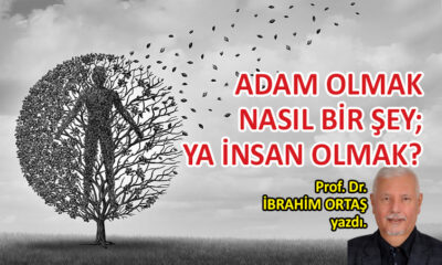 Adam olmak nasıl bir şey; ya insan olmak?