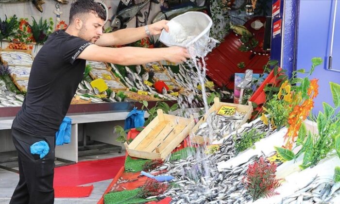 Balıkçı tezgahları hareketlendi