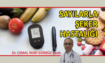 Sayılarla Şeker Hastalığı 