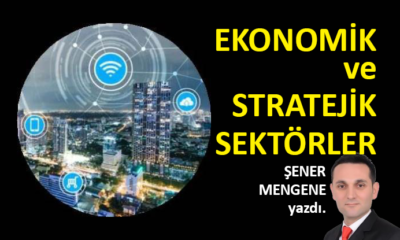 Ekonomik ve Stratejik Sektörler