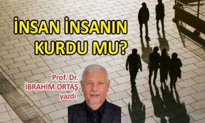 İnsan insanın kurdu mu?